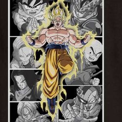 Dragon Ball Z Goku Shirt