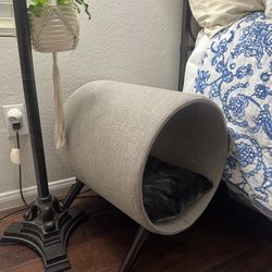 Cat Bed
