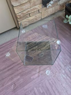Glass fishing tank