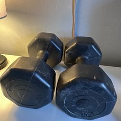 10lb Plastic Dumbbells 