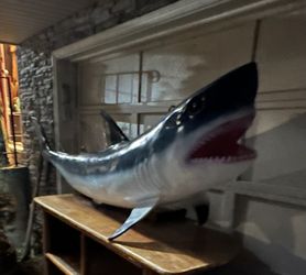 Giant Fiberglass Shark!! Measures Over 7 Feet long