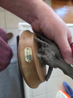 Hand carved wooden bird