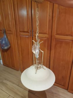 Hanging ceiling lamp