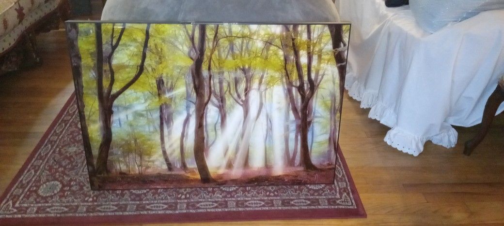 Painting Good Condition