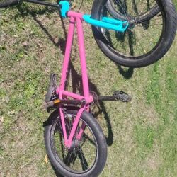 20 Inch Fit BMX Bike And A 24inch Specialized Dirt Jumper