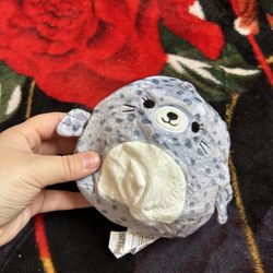 Squismallow Seal Mini Plushie Toy