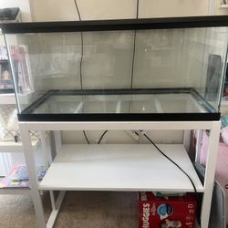 40gal Tank, Stand And Screen Cover For Top