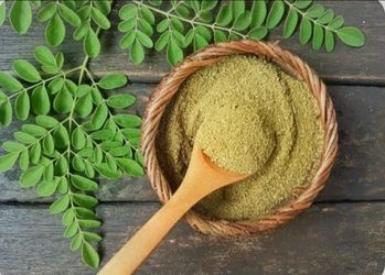 Moringa Tree - miracle tree of life/medicinal