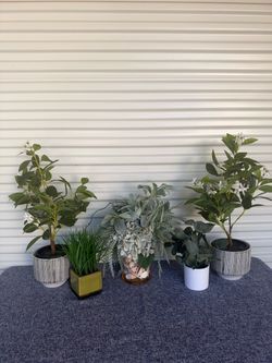 Table Deal of artificial plants