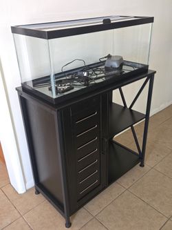 20 gallon fish tank and stand