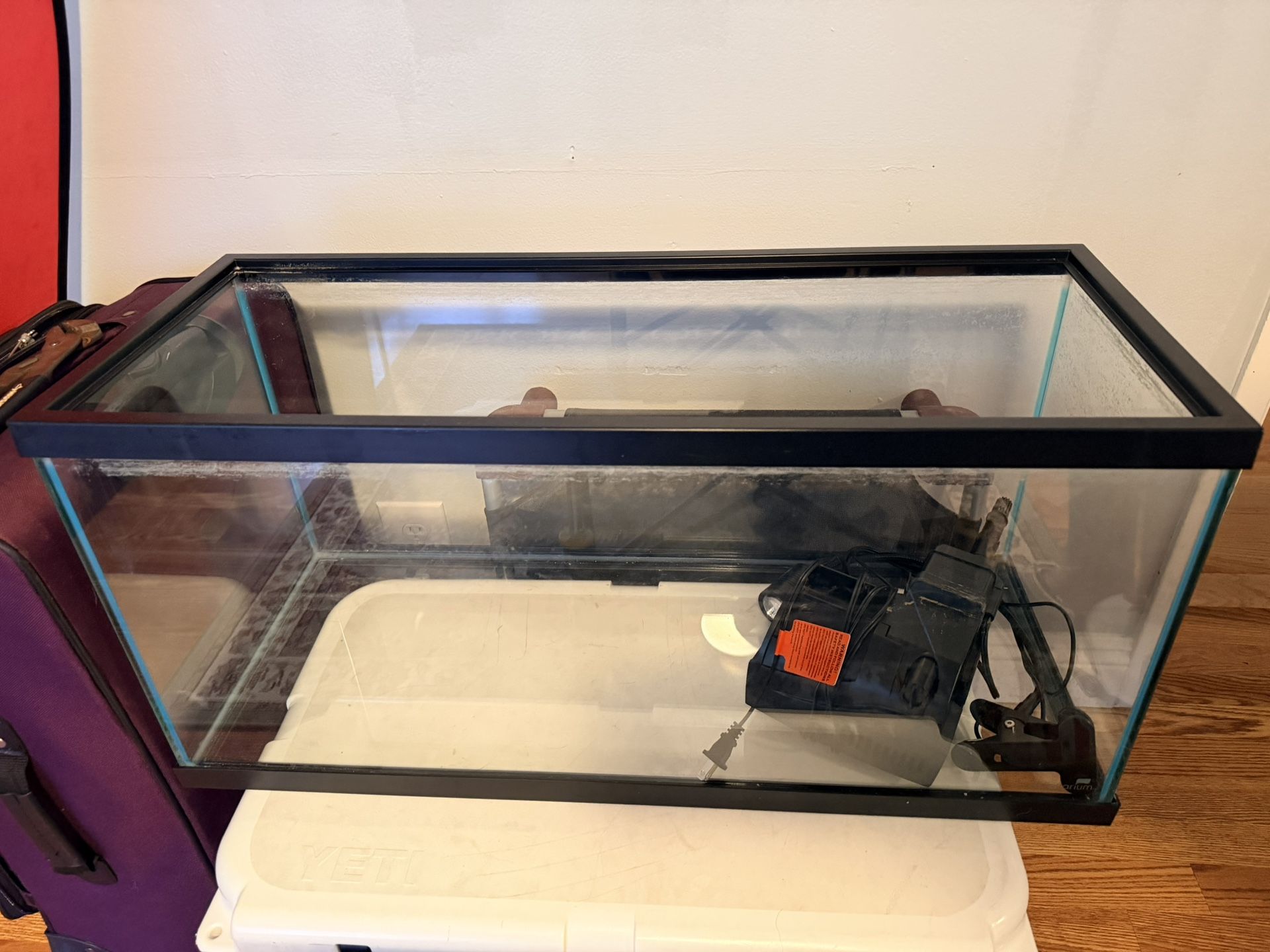 20g Fish Tank