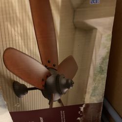 New Fan