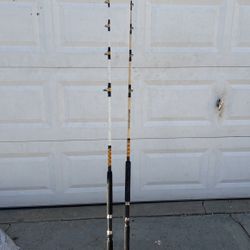 Master custom striker Fishing Rods_
