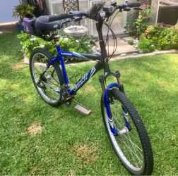 Mountain Bike Giant Boulder SE