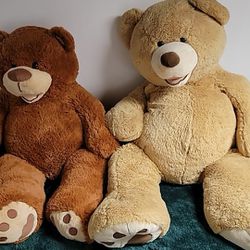 Giant Teddy Bears