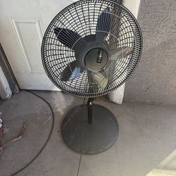Fan 