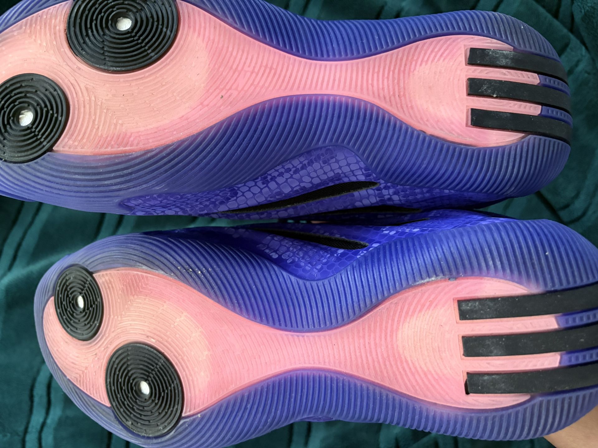 Harden Vol 9 Year of the snake