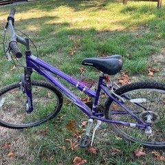 Schwinn Sidewinder 21Speed Mountain Bike/26"