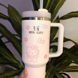 Hello Kitty Stanley 