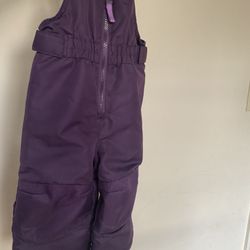 18 Months. Purple. $15