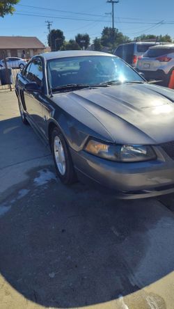 2004 ford mustang