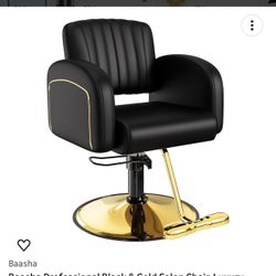 Salon/Barber Chair Brand New