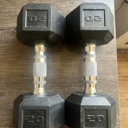 20LB Dumbbell Set