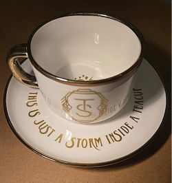 Storm inside a teacup Taylor Swift - fan made