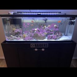 65 Gallon Fish Tank (stand Only )
