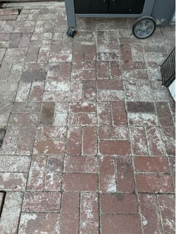 Red Brick FREE