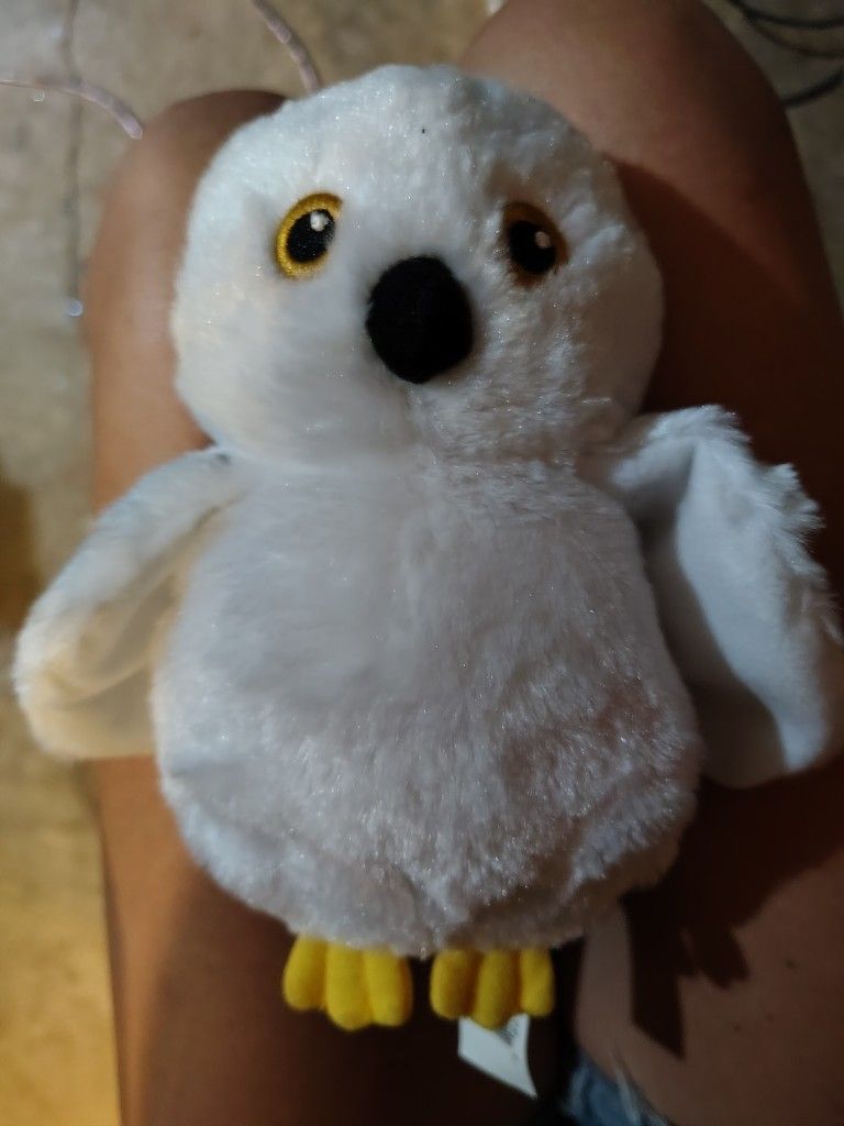 Harry Potter Owl