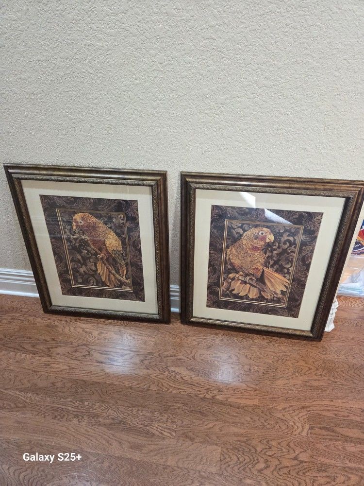 Art parakeet in bronze color wood frames. 24w x 29h.