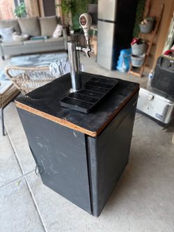 Kegerator/Mini Fridge