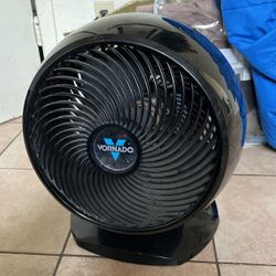 Fan