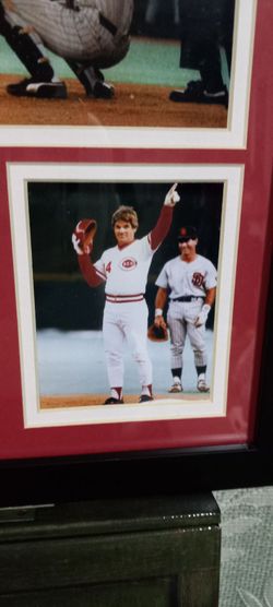 Pete Rose  Cincinnati Reds Baseball Photo Collage