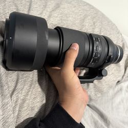 Tamron 15-500 E Mount
