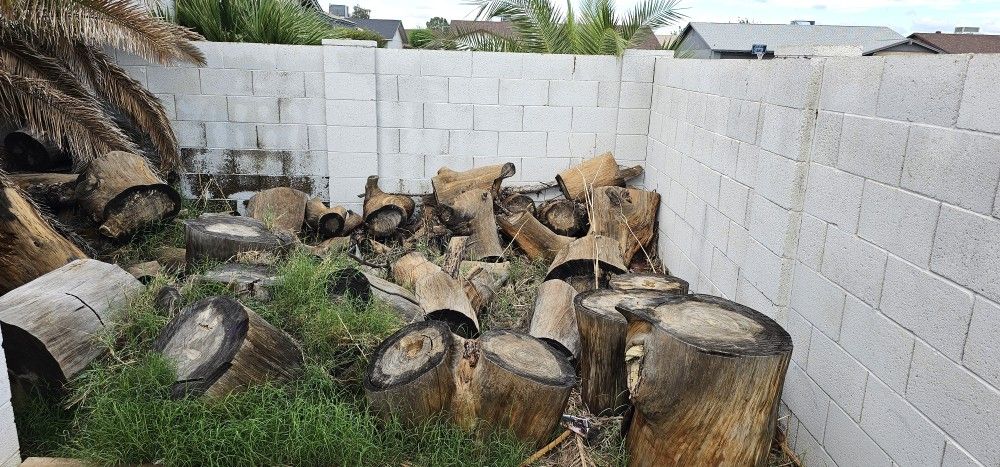 Free Fire Wood