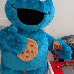 Cookie Monster Plush 