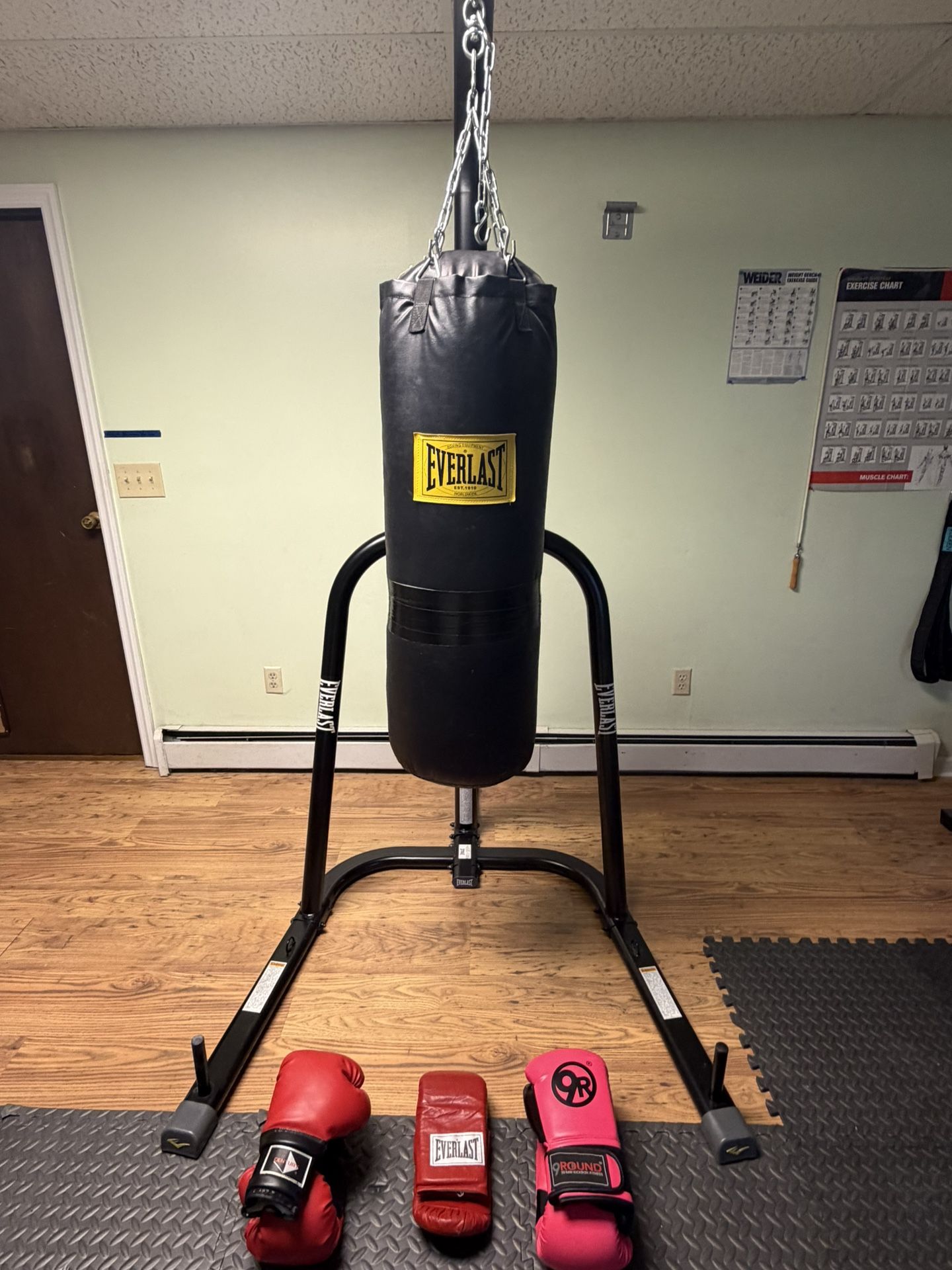 Everlast Punching Bag And Stand 