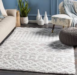 White and Gray Shag Area Rug