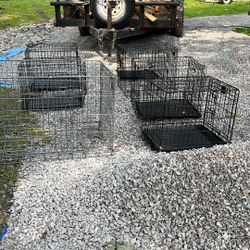 Dog Cages