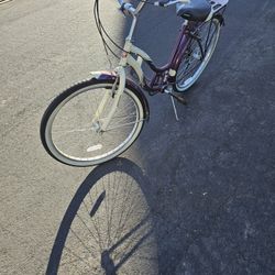 Schwinn Bike 24 Inch