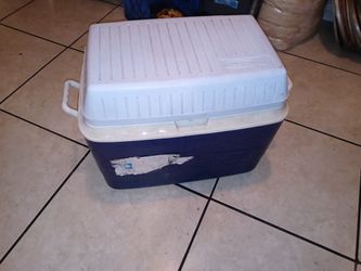 Cooler