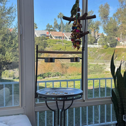 Parrot stand