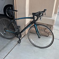 Specialized Secteur Road Bike 54cm