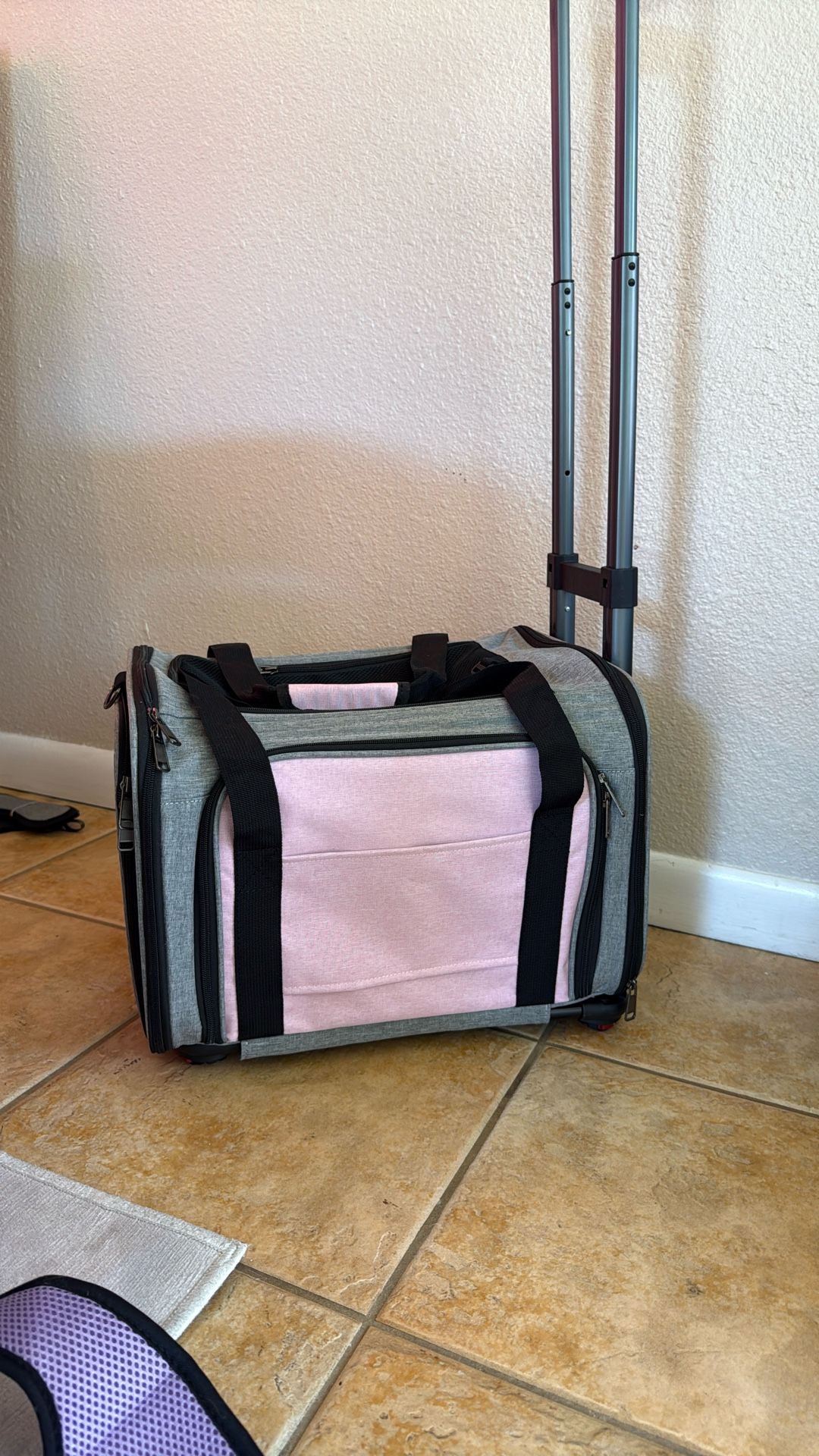 Dog Carrier
