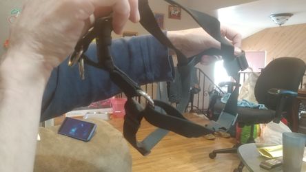 Harness for dog
