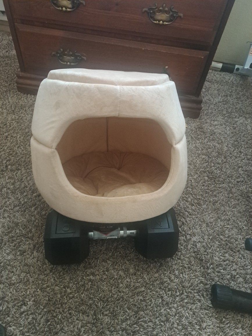 Cama Chica Para Chiguagua
