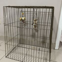 Bird Cage With Stand 