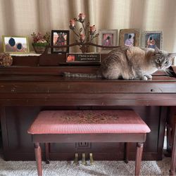 Free Piano (Without Cat)